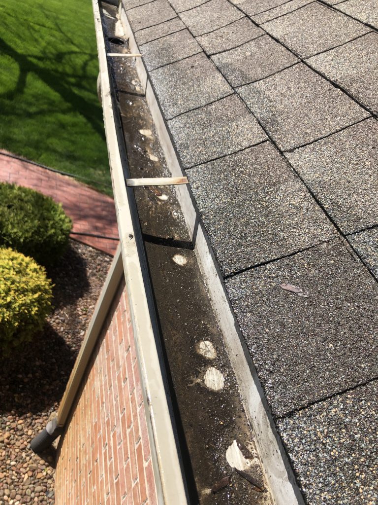 before gutter cleaning